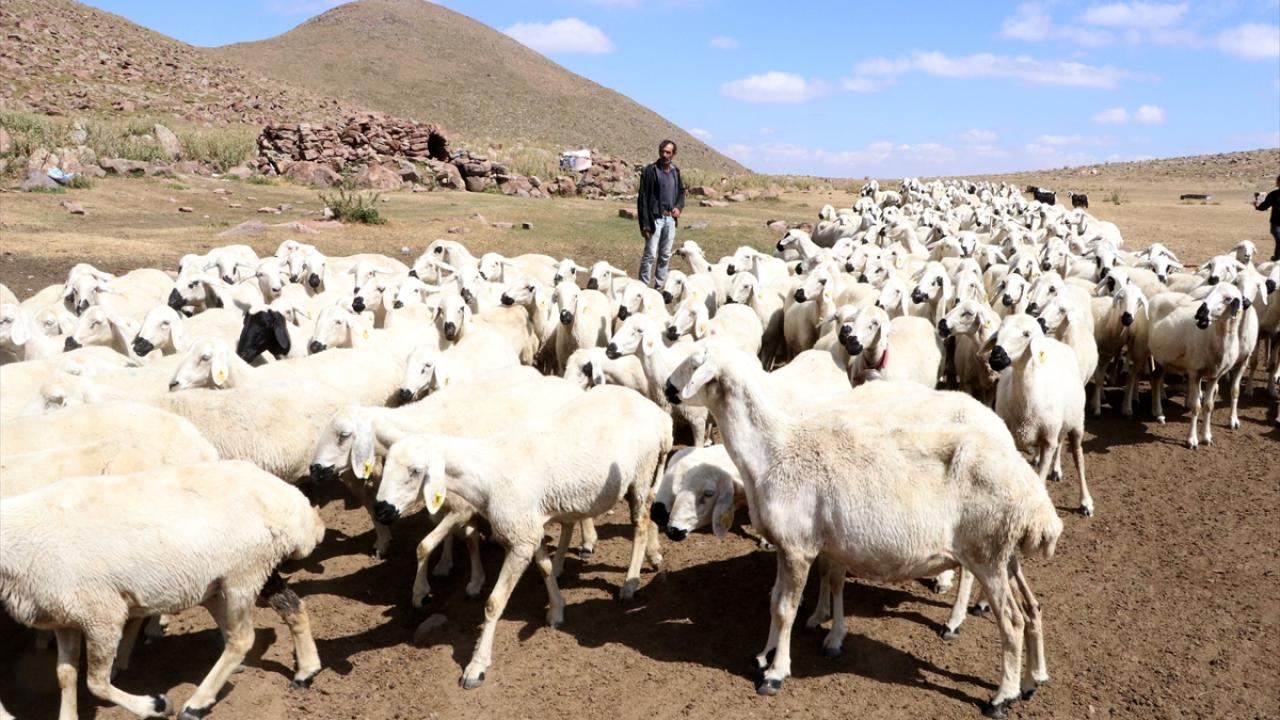 kucukbas-kayseri-a-2400726.jpg