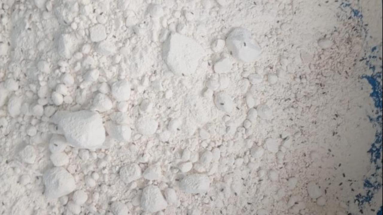 boceklenmis-un-iha-2492313.jpg