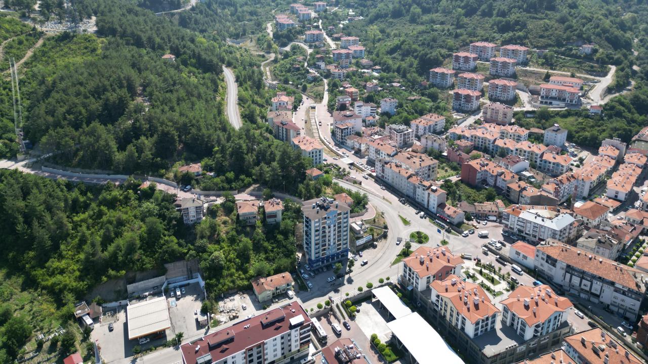 bozkurt-aa-2480887.jpg