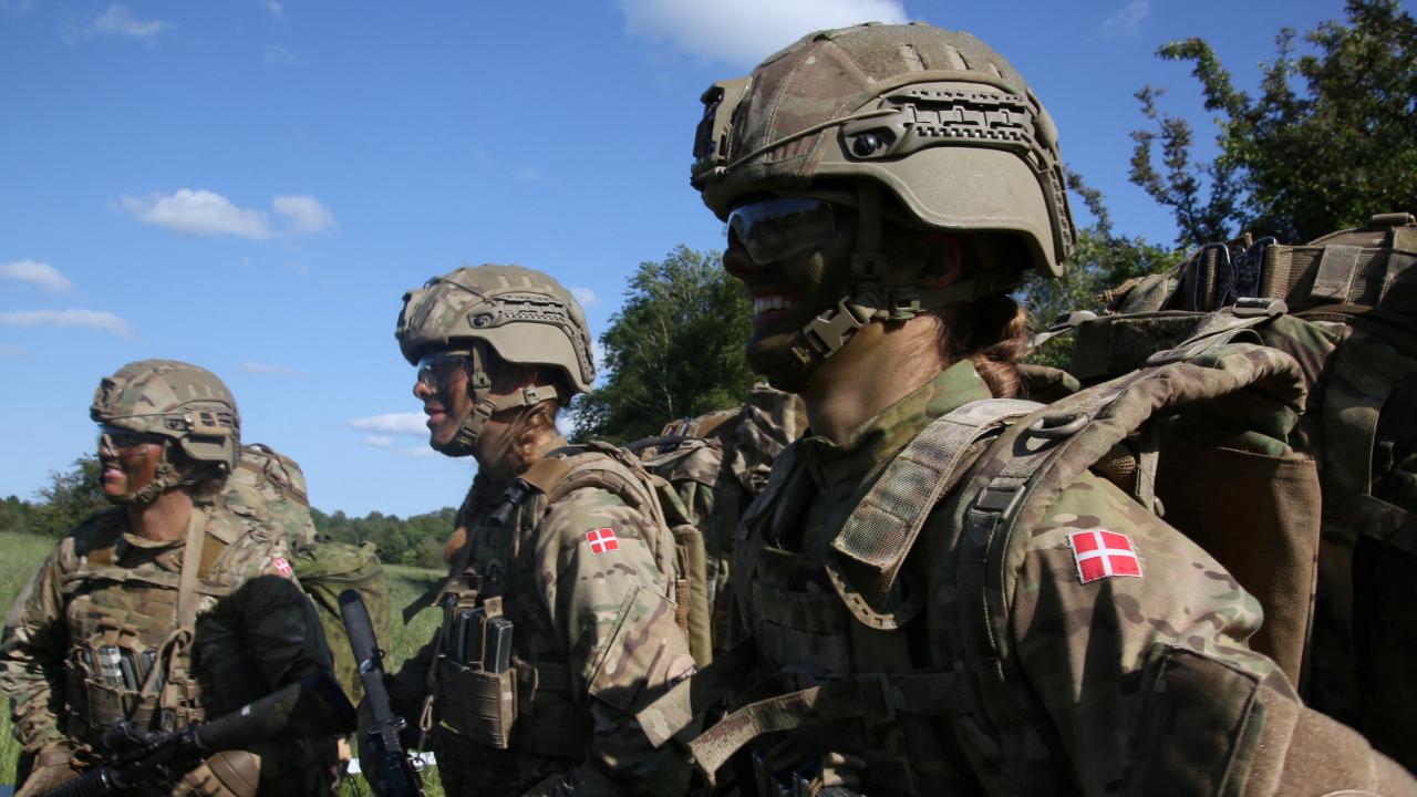 danimarka-army-re-2479339.jpg