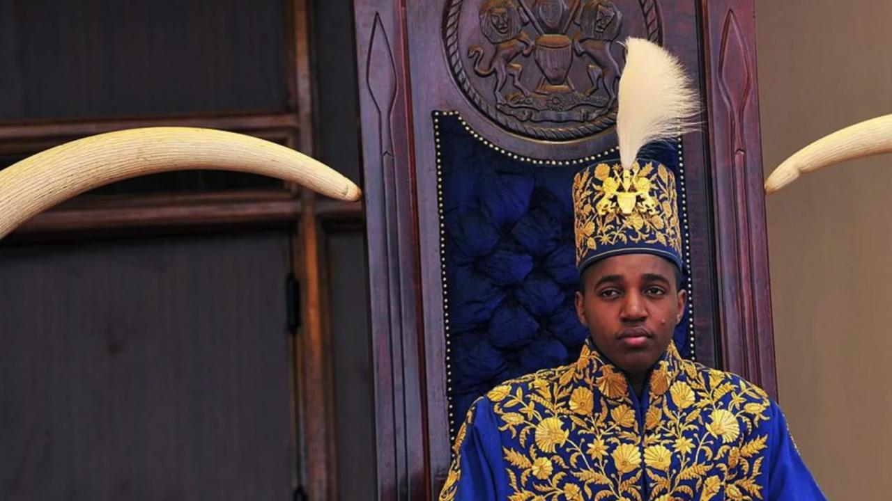 king-oyo-2485701.jpg