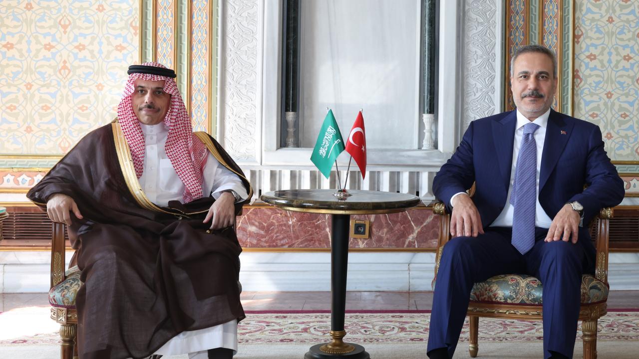 fidan-al-suud-2486088.jpg
