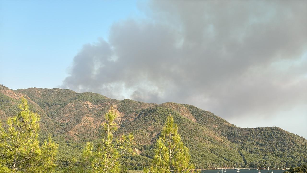 marmaris-yangin-aa-2482546.jpg