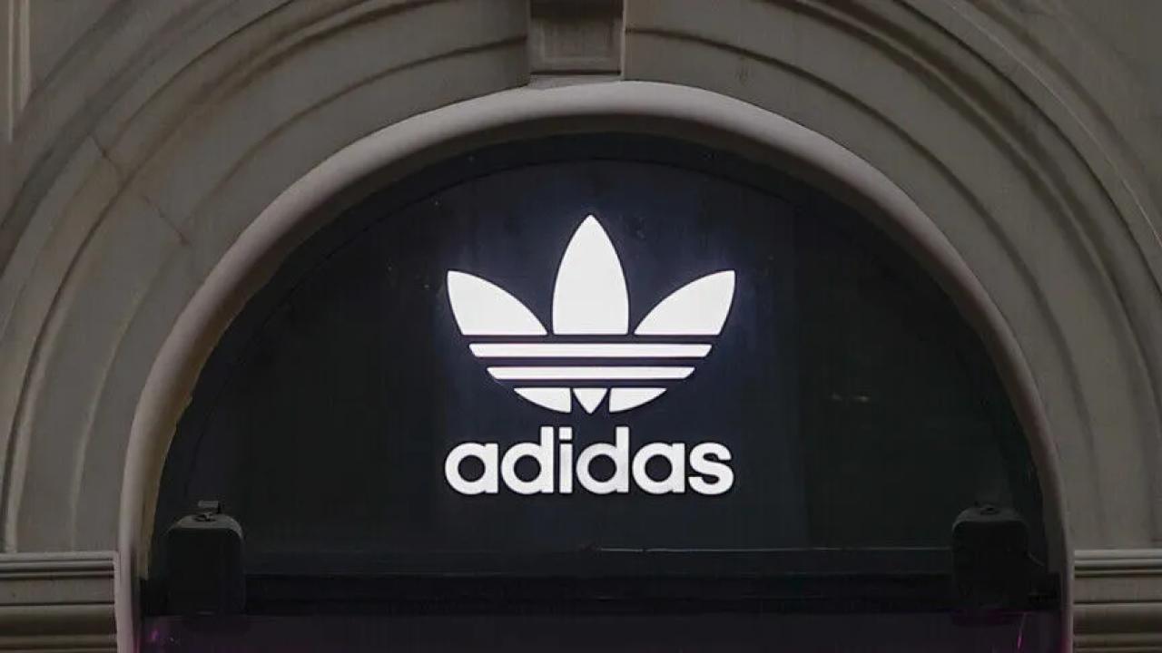 2487464.jpg