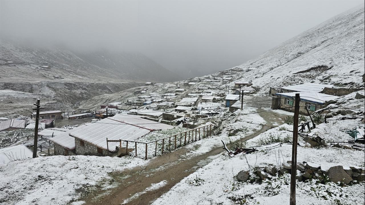 rize-kar-2493105.jpg