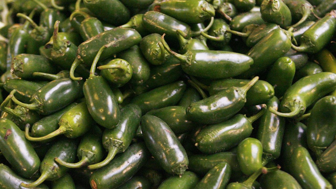 jalapeno-reu-2480027.jpg