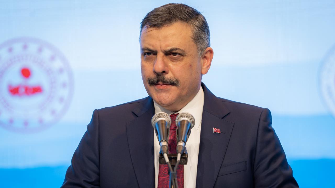 mustafa-ciftciaa-2487358.jpg