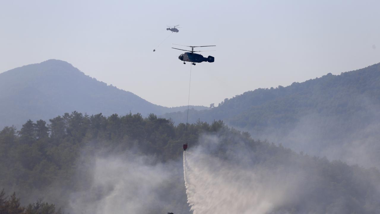 orman-yangini-2478923.jpg