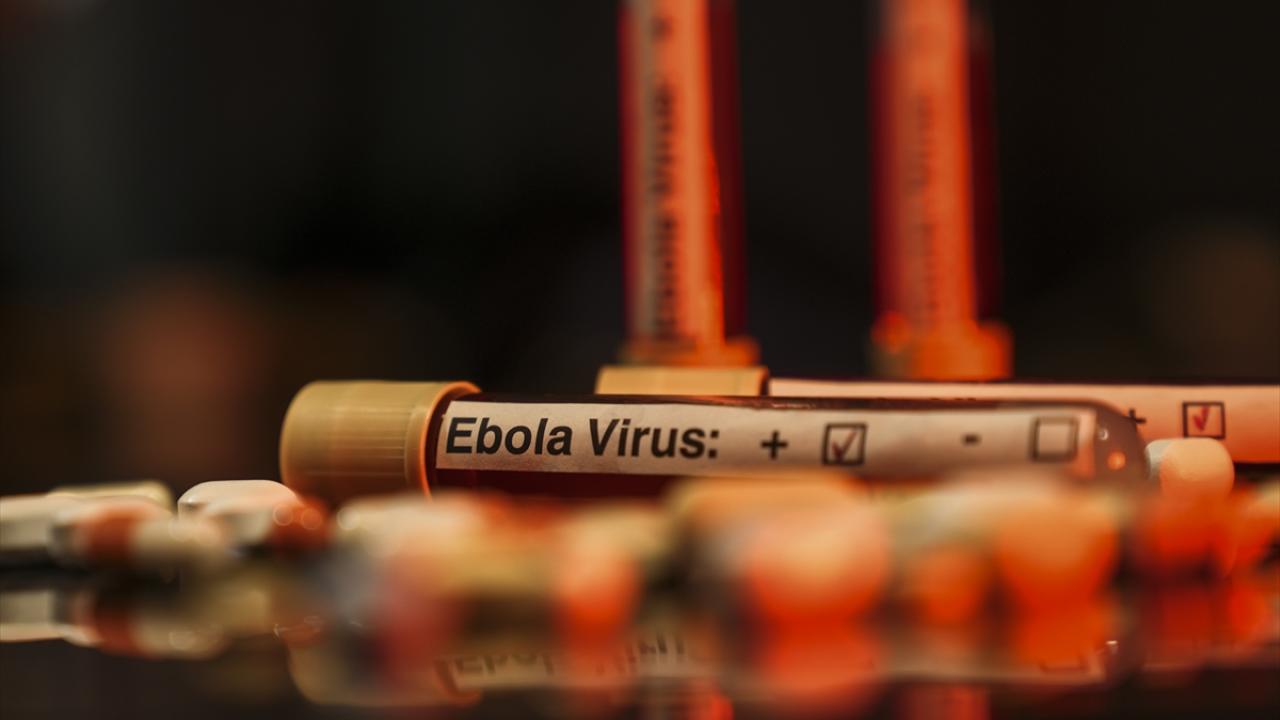 ebola-virus-aa-2463950.jpg