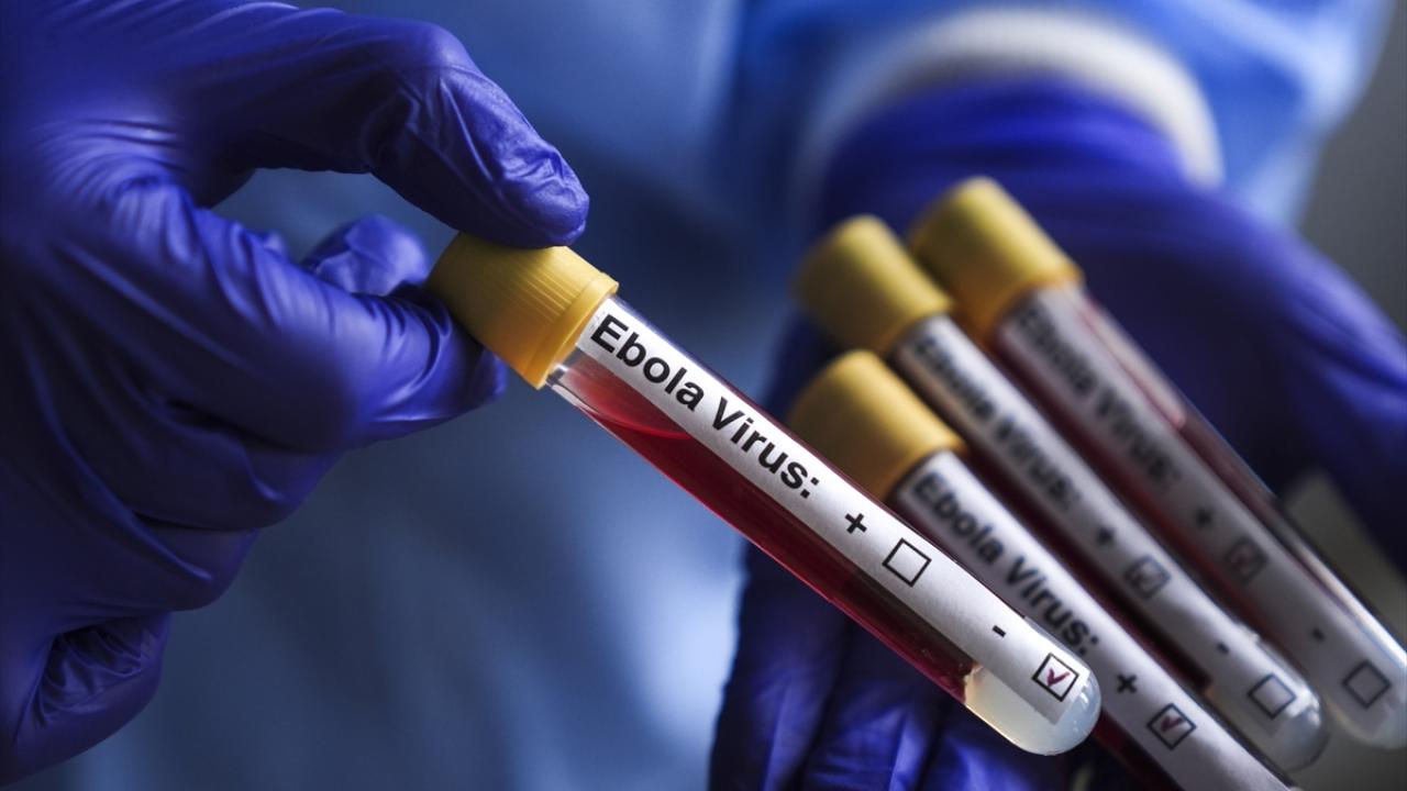 ebola-virus-aa-2463951.jpg