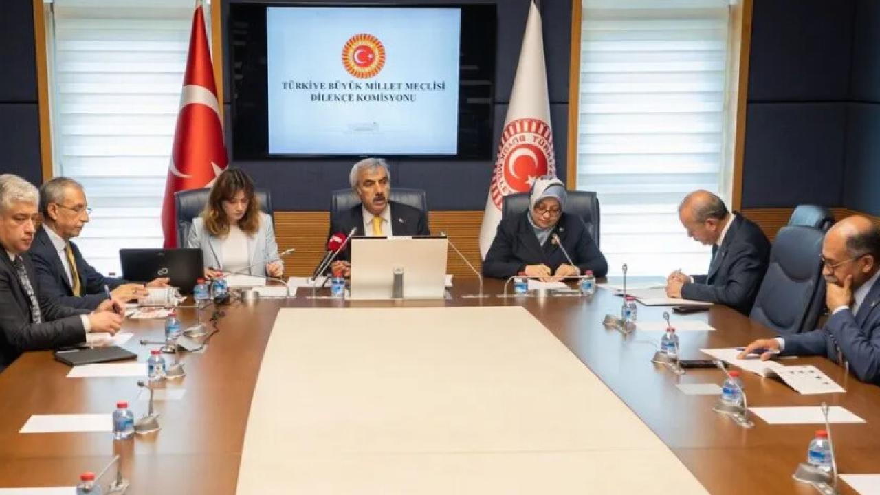 tbmm-dilekce-komisyonu-aa-2479071.jpg