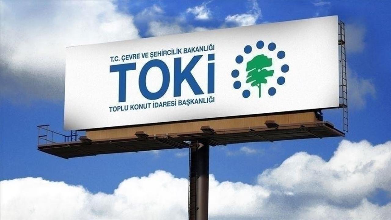 toki-2400554.jpg