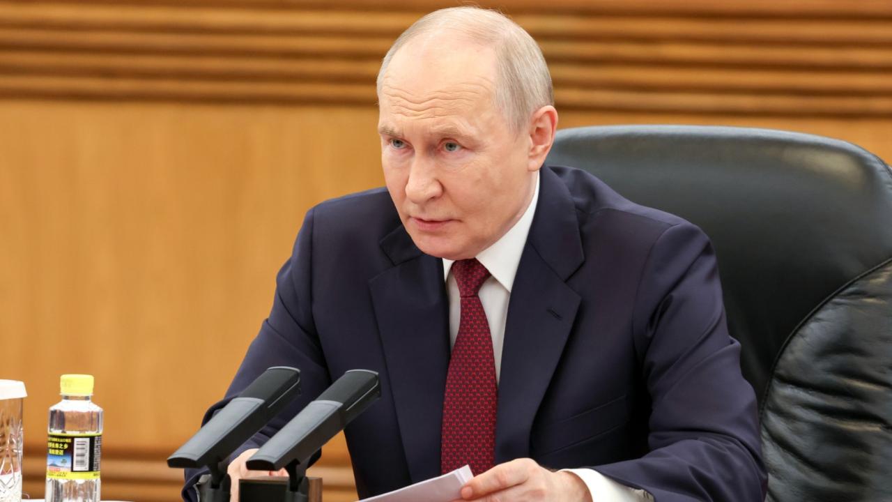 putinaa-2478317.jpg