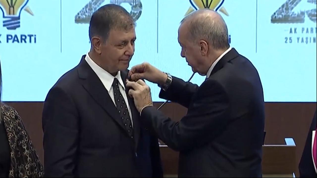 cemil-tugay-2494044.jpg