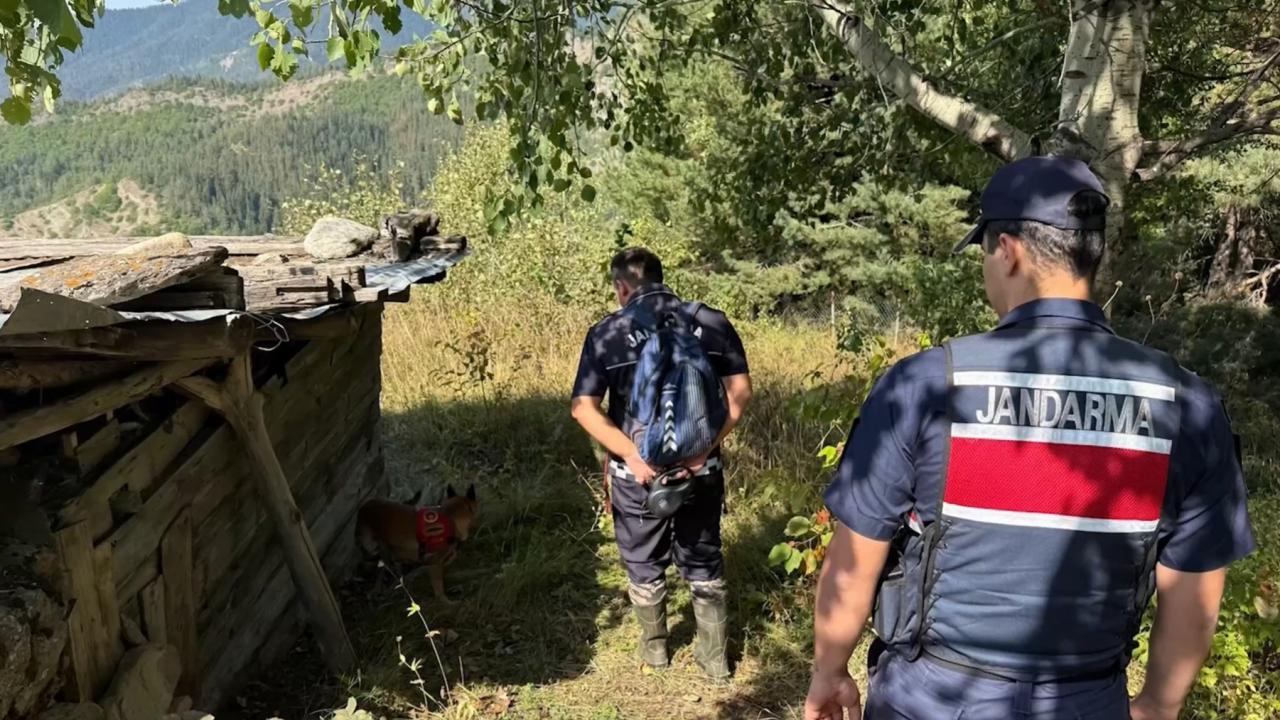 jasak-artvin-2492067.jpg