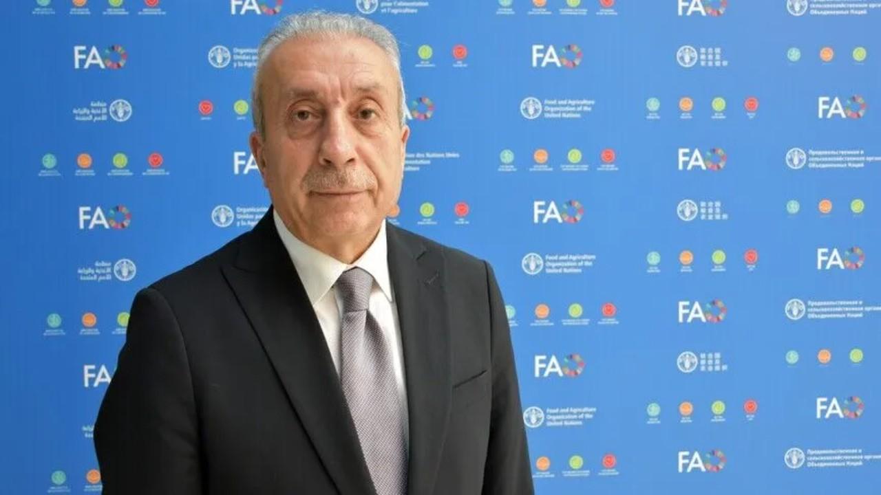 mehdi-eker-2491245.jpg