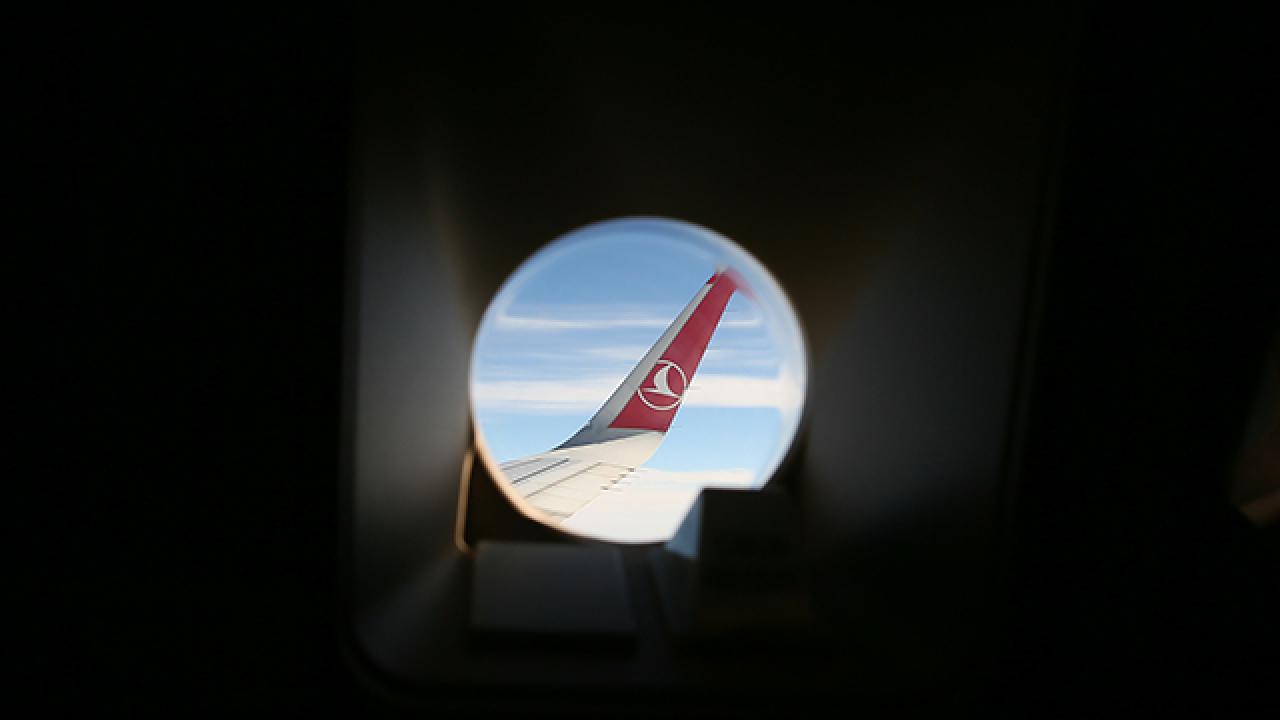 thy-1487298.jpg