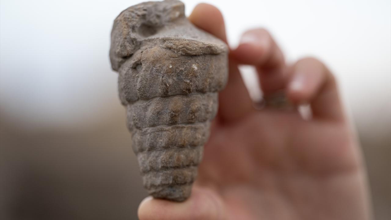 kulhoyuk-tohum-aa-2492502.jpg