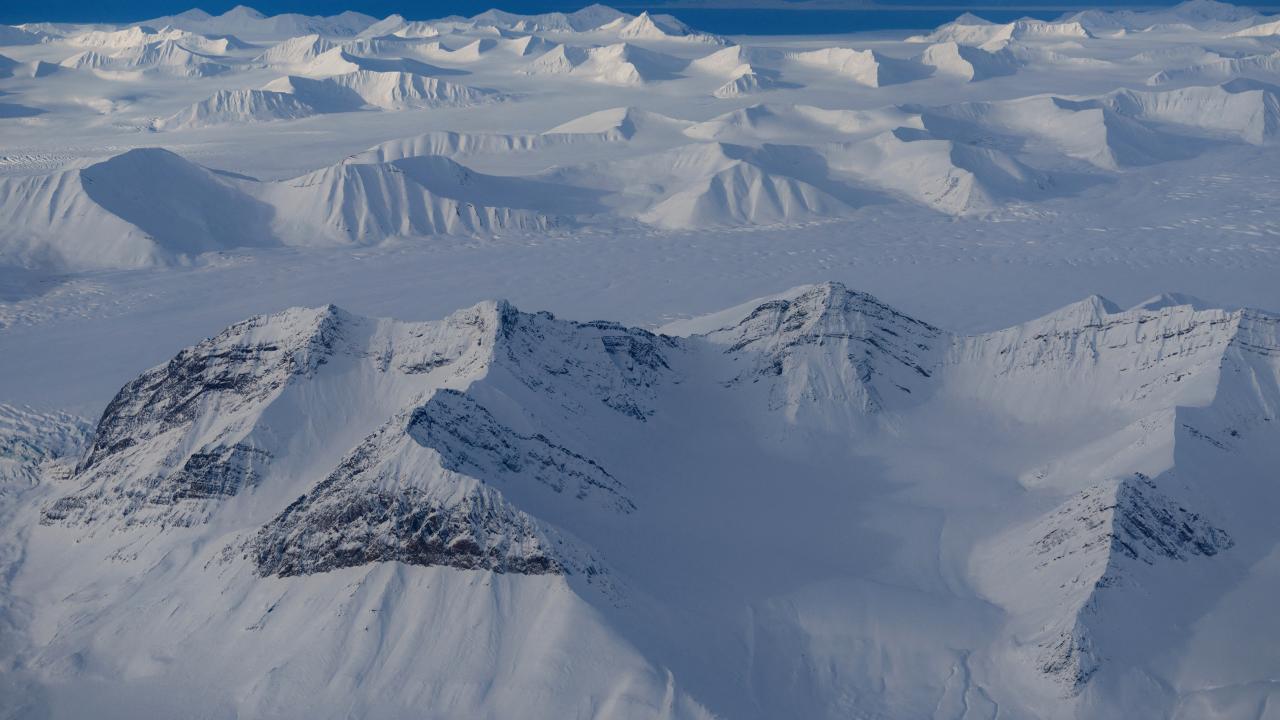 norvec-2496692.jpg