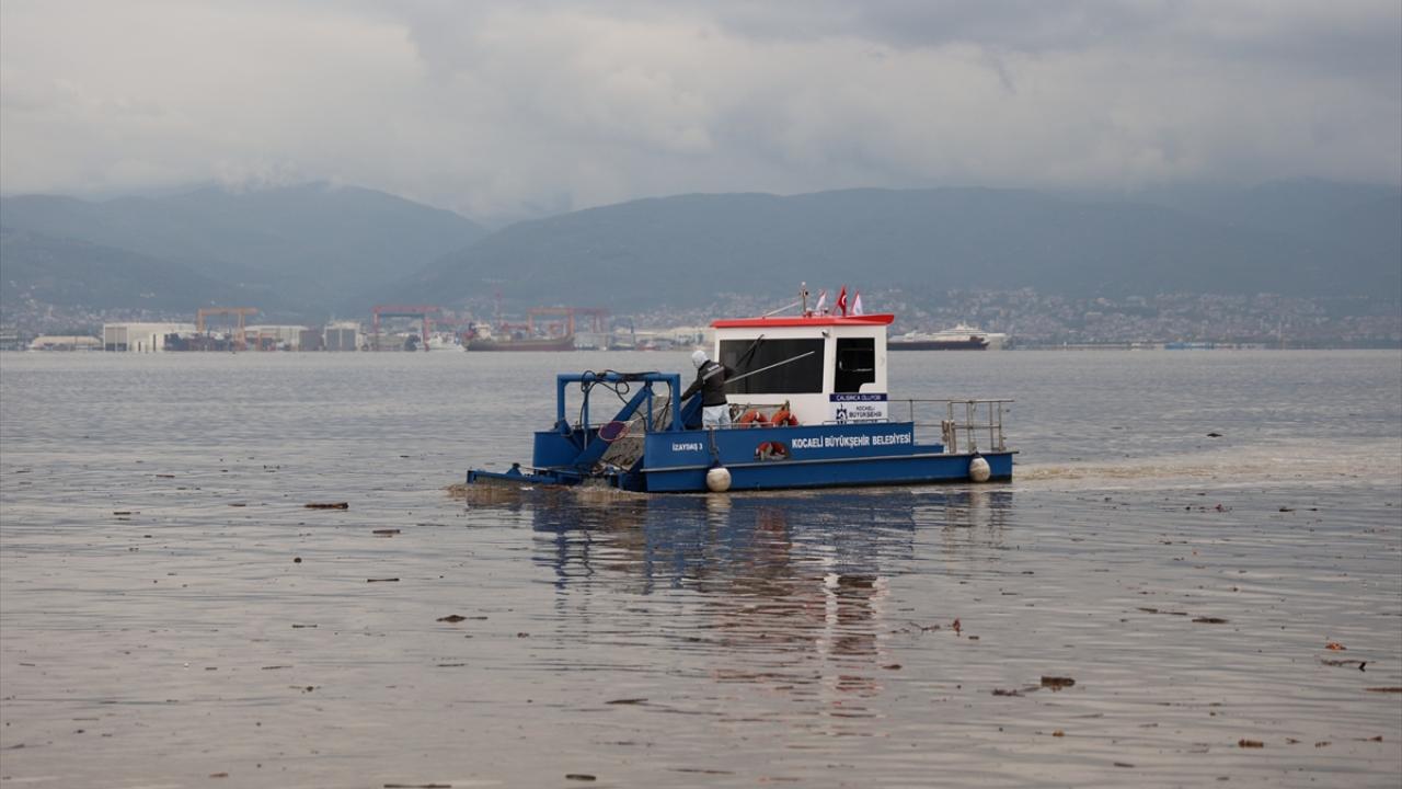 izmit-korfezi-cop-aa-2496493.jpg