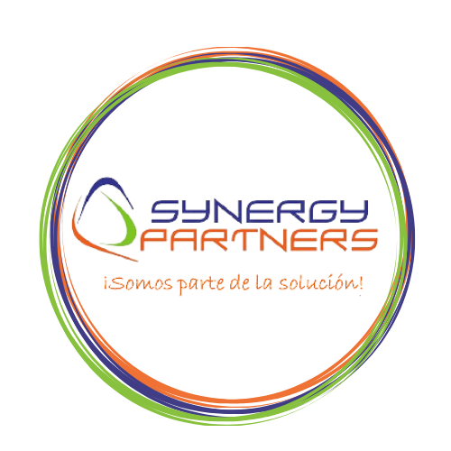 pt.synergypartners.com.co